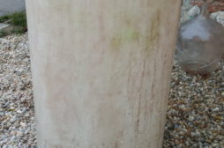 IMG_20191116_155009