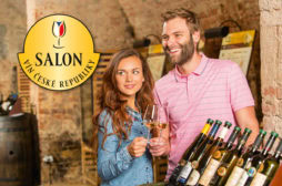 salon-vin-cr_foto-2015_logo-4