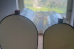 20241012_090030