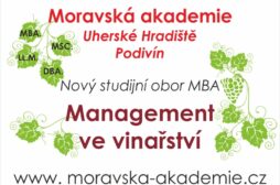 Hu0159ebau010dka_Banner_ManagementVeVinau0159stvu00ed_Nu00e1hled02