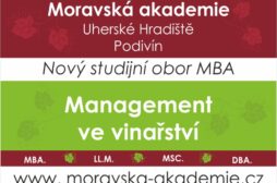 Hu0159ebau010dka_Banner_ManagementVeVinau0159stvu00ed_Nu00e1hled03