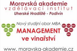 Hu0159ebau010dka_Banner_ManagementVeVinau0159stvu00ed_Nu00e1hled11