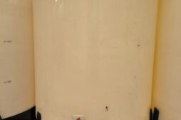 IMG_20250204_113742