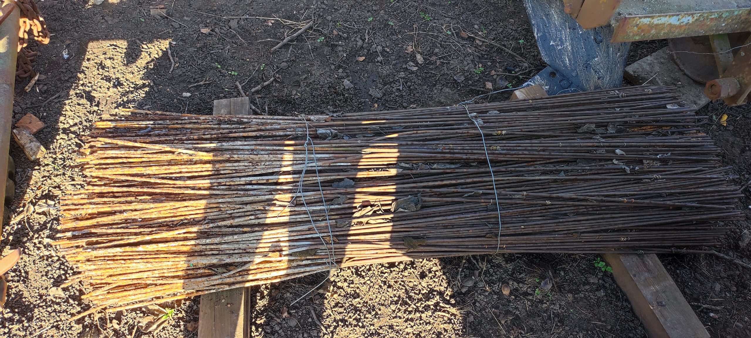 IMG_20260305_155332-1