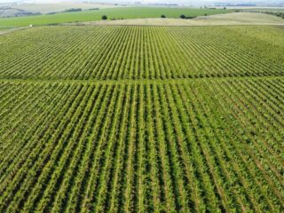IMG-20230618-WA0005