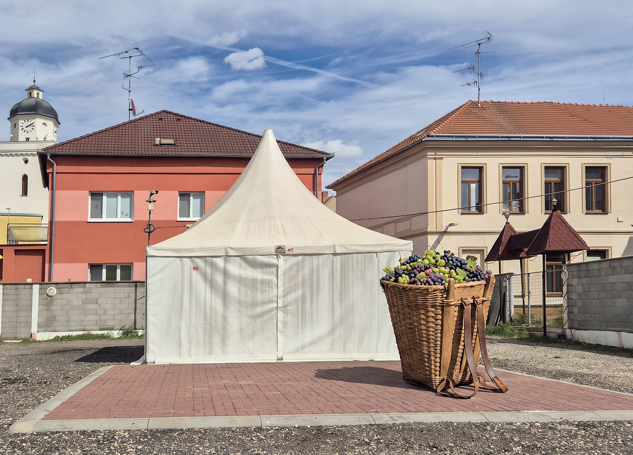 prodejni_stan_s_putnou-1-1