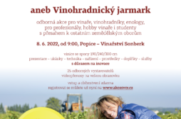 kázání ve vinici
