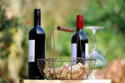 víno piknik